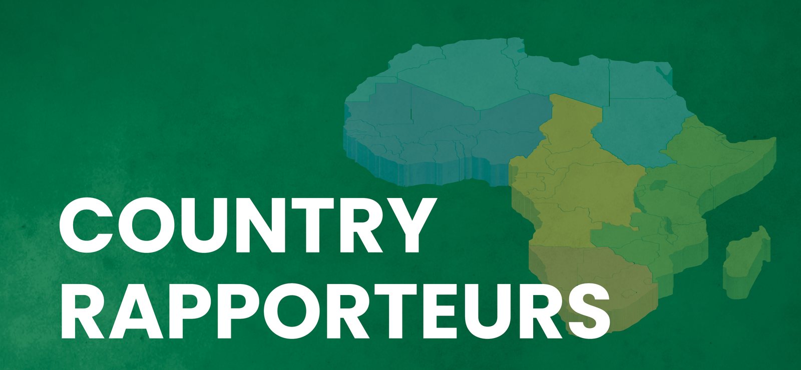 Country Rapporteurs