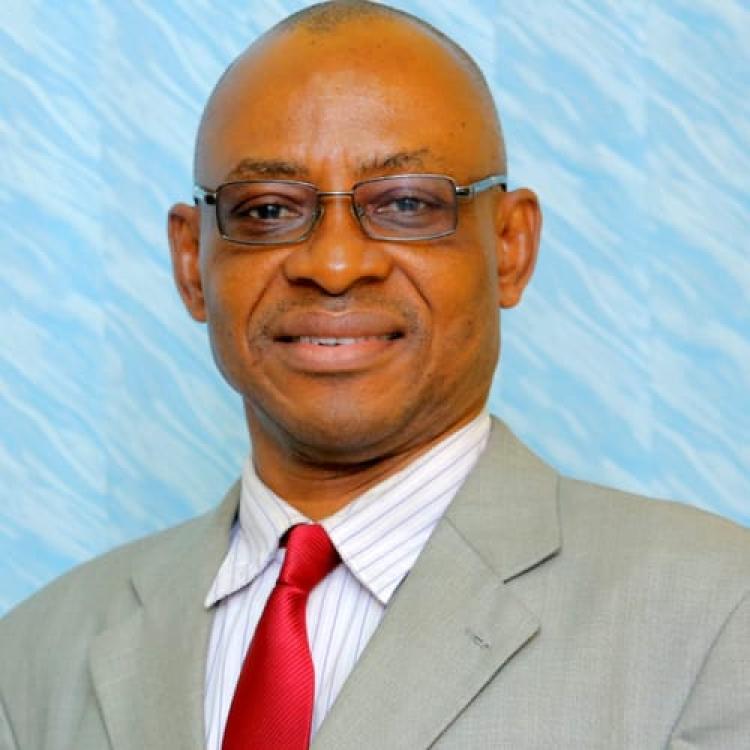 Prof Nsongurua Udombana